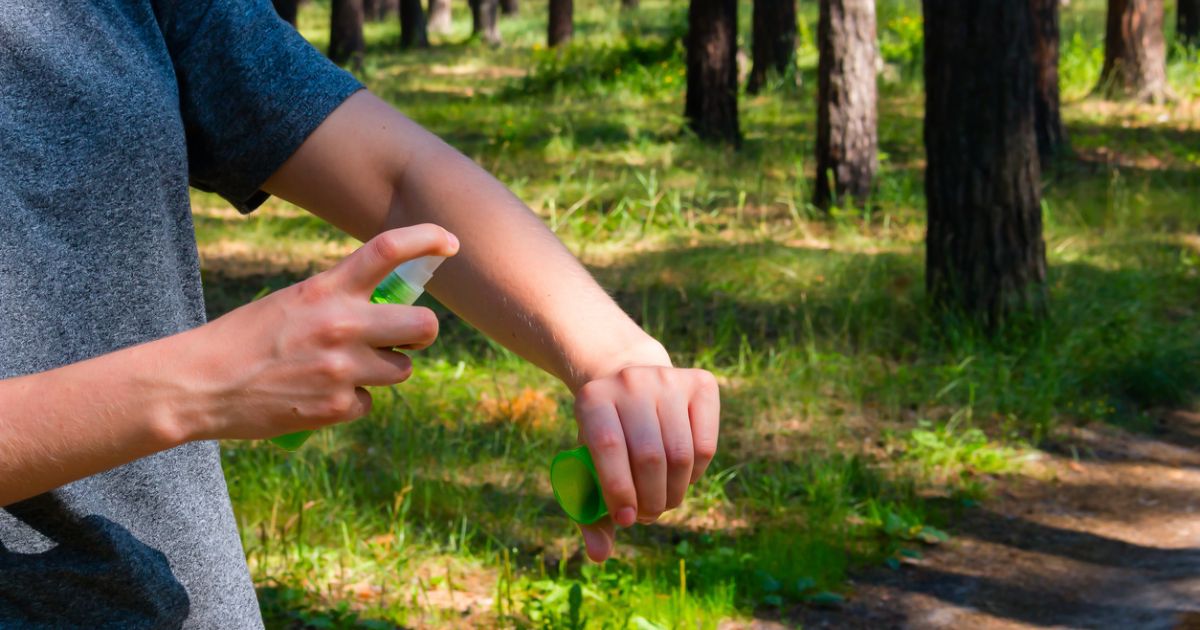 What You Need to Know about Bugs and Disease This Summer